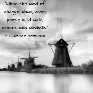 When the wind of change blows some people build walls others build windmills