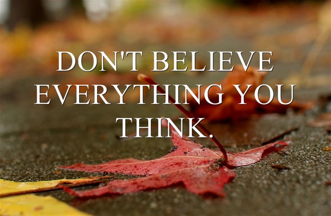 DONT-BELIEVE-EVERYTHING